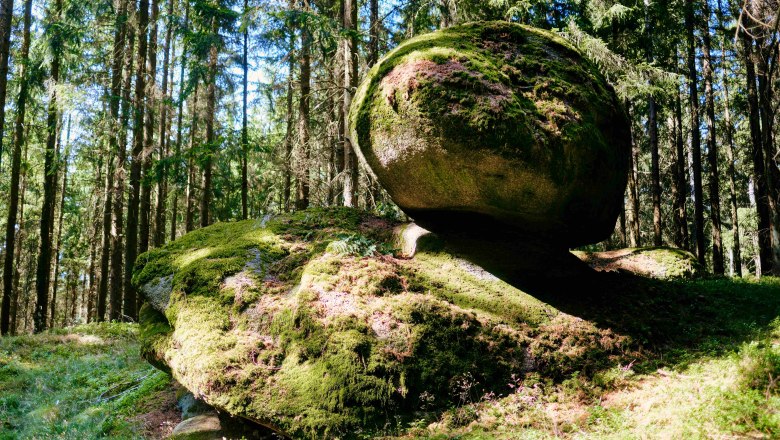 Unser Wald, direkt hinter dem Biohof, ist ein Erholungsgebiet für Körper und Seele., © Biohof Hammerschmidt