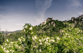 Dürnstein im Frühling, © Robert Herbst