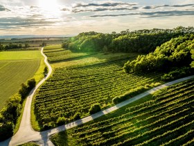 Absdorf -Wagram, © Donau Niederösterreich - Kamptal-Wagram-Tullner Donauraum