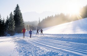 Langlaufen in Mitterbach am Erlaufsee, © Fred Lindmoser