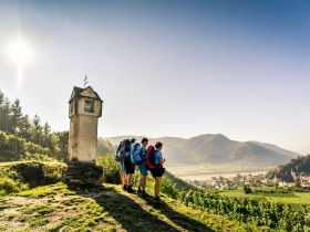 Wanderer hoch über Spitz, © Donau NÖ Tourismus/Robert Herbst