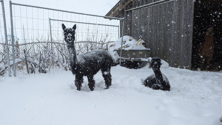 Sophie und Marie im Schnee, © Michael Berner