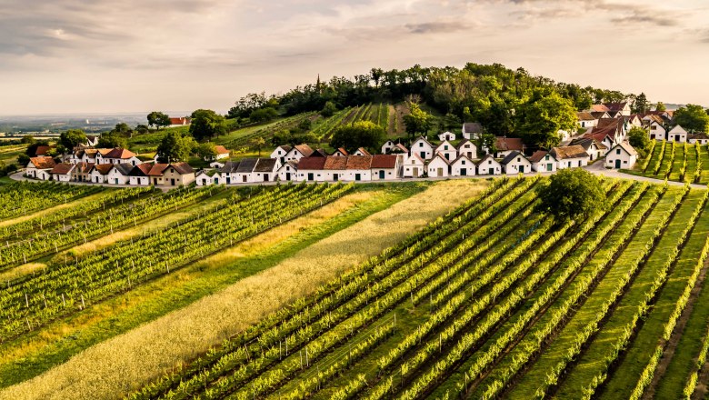 Kellergasse Galgenberg in Wiledendürnbach, © Niederösterreich Werbung / Robert Herbst