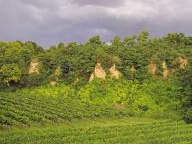 Wagram Neun-Monna, © Donau Niederösterreich - Kamptal-Wagram-Tullner Donauraum