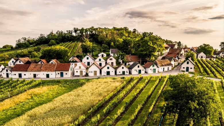 Der Galgenberg, © Weinstraße Weinviertel / Robert Herbst