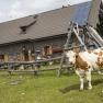 Ybbstalerhütte, © Theo Kust