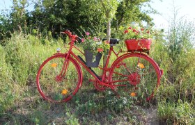 Blumen.rad.route, © Vino Versum Poysdorf