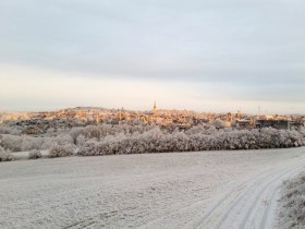 Winterwandern in Gföhl, © Stadtgemeinde Gföhl