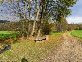 Bachwiesenweg mit Regionsbankerl, © Gottfried Grossinger