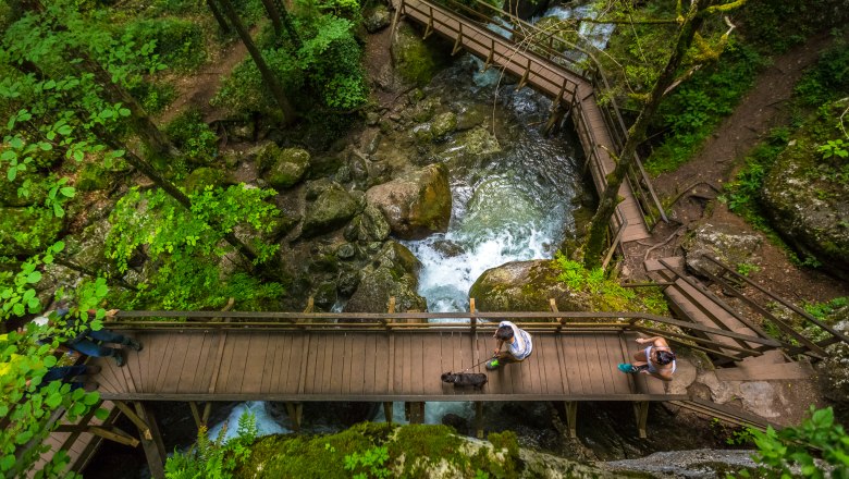 Myrafälle Muggendorf, © Wiener Alpen/Christian Kremsl