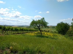 Ehret den Sock-Wanderweg, © Irene Tagwerker