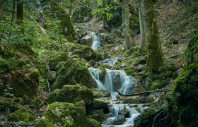 Steinwandklamm, © Wienerwald Tourismus GmbH / Andreas Hofer