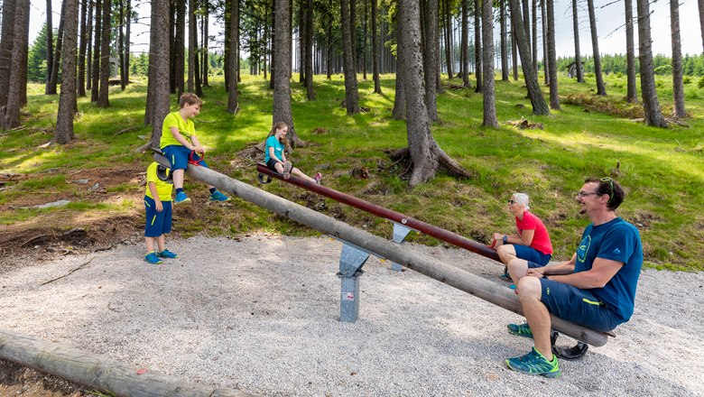 Jede Menge Abwechslung am Schaukelweg, © Erlebnisalm Mönichkirchen, Christian Kremsl