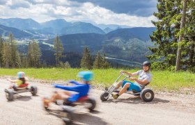 Fun with the mountain carts, © Bergbahnen Mitterbach, Fred Lindmoser