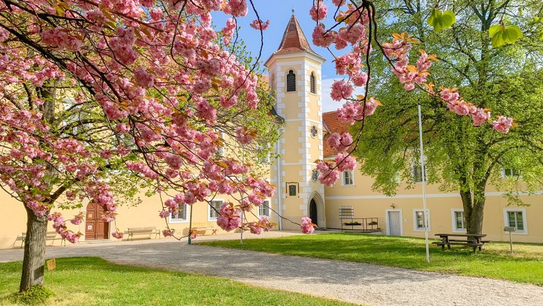 Schloss4-c- Schubert Schloss Atzenbrugg, © Marschik