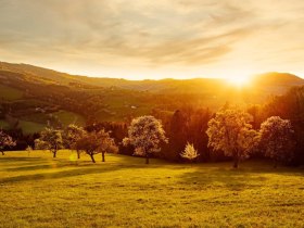 Fotopunkt Birnbäume Sonnenuntergang, © schwarz-koenig.at