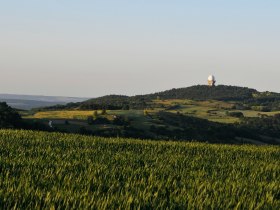 Blick auf den Buschberg, © Weinviertel Tourismus / Mandl