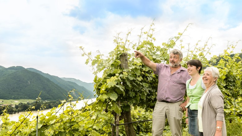 Aussicht Weingut Pomassl, © Rita Newman