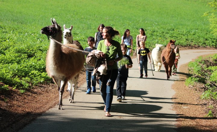 Trekken mit der Lama Lady, © Astrid Herler