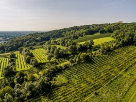 Grossweikersdorf, © Donau Niederösterreich - Kamptal-Wagram-Tullner Donauraum