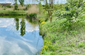 Für heiße Tage eine kleine Erfrischung, © Weinstraße Weinviertel