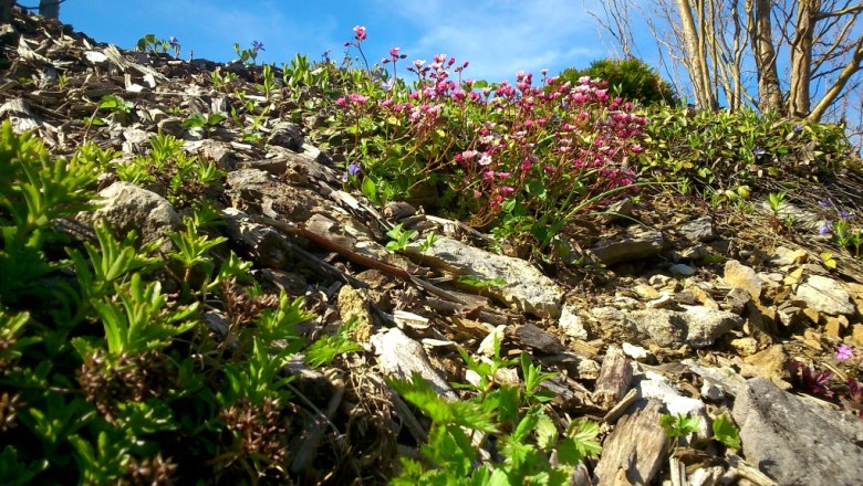 Rock garden, © Familie Winter