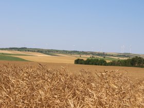 Weinviertler Hügellandschaft, © Vino Versum Poysdorf