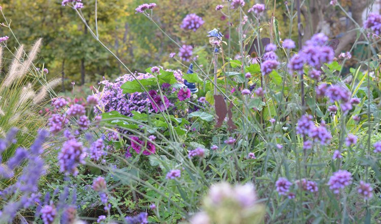 Blütenpracht im Landhausgarten, © Christine Hammerschick