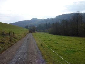 Rückweg nach Kaumberg, © Wienerwald