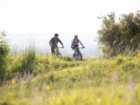 MTB Wienerwald, © Wienerwald Tourismus GmbH / Markus Frühmann