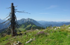 Haute Route Niederösterreich, © Mostviertel