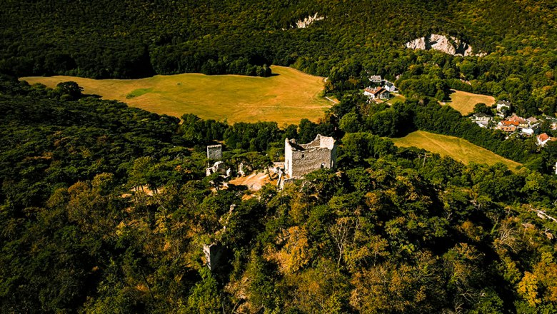 Burgruine Mödling, © Sascha Schernthaner