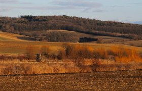 Kreutwald, © Weinviertel Tourismus / Mandl