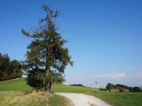 Maierhöfen - Kulma, © Wiener Alpen in Niederösterreich - Alpannonia