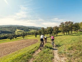 MTB Wienerwald, © Wienerwald Tourismus GmbH / Christoph Kerschbaum