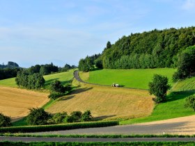 Felder- und Wiesenlandschaft bei Benking, © Naturparke NÖ/Herbst Robert