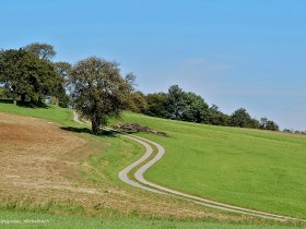 Weg nach Ebersreith, © Mostviertel