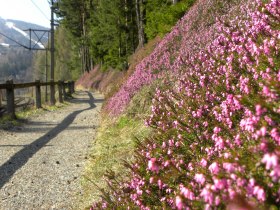 Bahnwanderweg im Frühling, © ©Wiener Alpen, Foto: www.eva-gruber.at