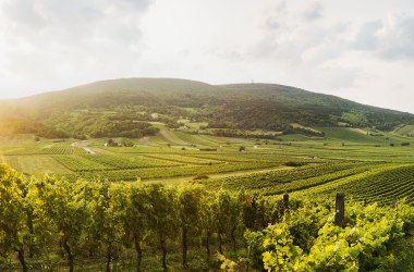 Vienna Woods thermal springs region at Gumpoldskirchen, © Niederösterreich-Werbung/ M. Liebert