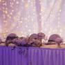 Wedding table, © Besta Betriebs GmbH