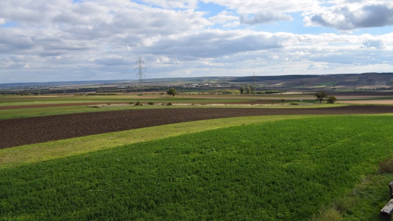 View of the Roseldorf site, © ARDIG