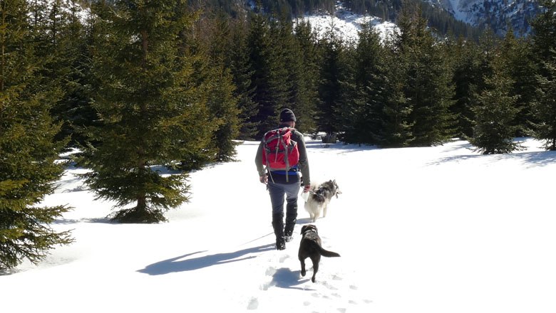 geführte Winterwanderung, © Wild Nasswald