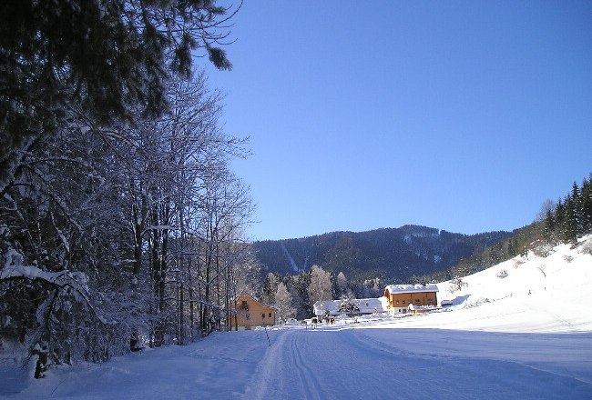 Horse riding farm "Maho", © MAHO