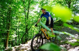 Mountainbiker auf dem Singletrail, © Donau NÖ Tourismus/Barbara Elser