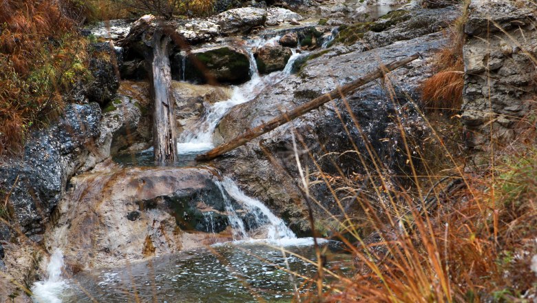 Dürrenstein Wilderness Area, © Mostviertel Tourismus/Weinfranz.at