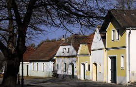 Kellergasse Nappersdorf, © Weinviertel Tourismus / Mandl