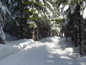 Dürnberg-Loipe 2, © Waldviertel Tourismus