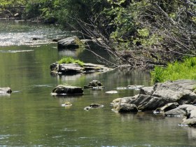 Pielach, © Region Dunkelsteinerwald