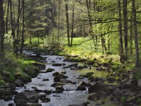 Weg entlang der Lainsitz, © Waldviertel Tourismus