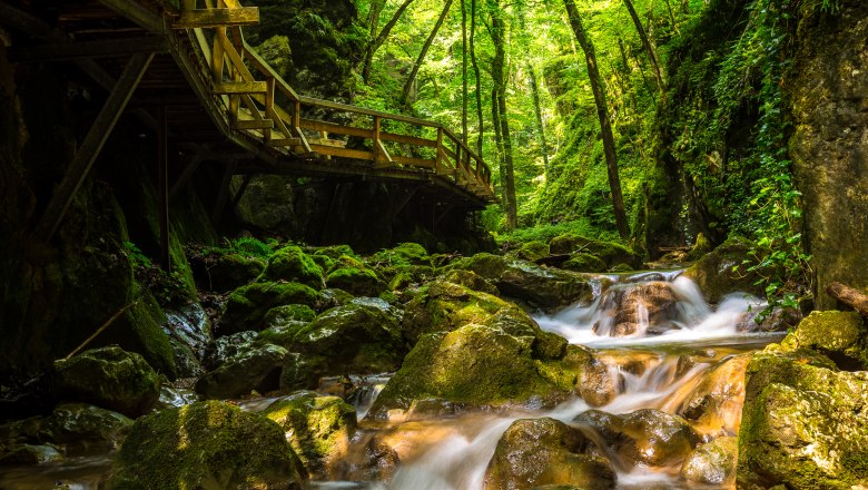 Johannesbachklamm, © Wiener Alpen/Christian Kremsl